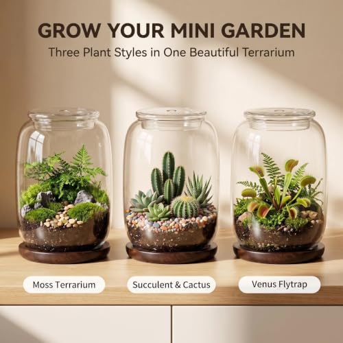 Glass terrariums for Plants .Venus Fly Trap Terrarium jar with Lid and Base. for Succulents, Moss.Indoor Home Decor.Mini Garden Planter - Image 2