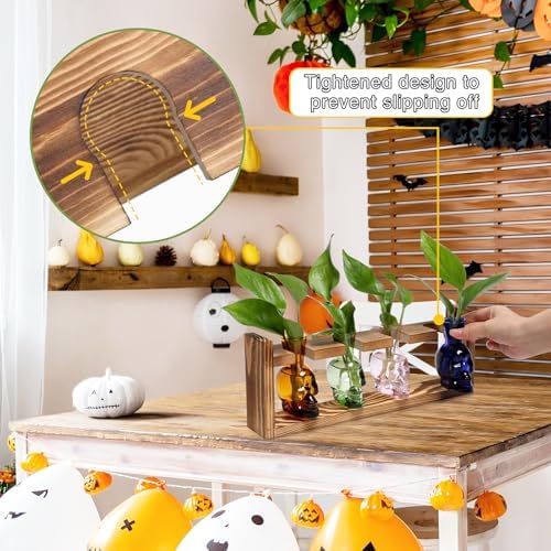 Plant Propagation Stations Halloween Skull Plant Terrarium Kit - Image 2