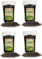 Gardenera Aglaonema Potting Mix - Unlock Robust Growth and Vibrant Leaves with Our High-Performance Formula - 20 Quart by Gardenera