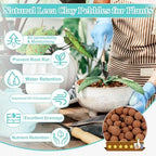 19LB Organic Leca Clay Pebbles for Plants, 4-16mm Natural Leca Ball - Image 2