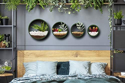 Pack of 4 Round Wall Planters Hanging Metal Plant Containers Circle Plant Holder Contemporary Morden Circle Iron Vase for Succulents or Herbs Cactus and More (Green) - Image 3