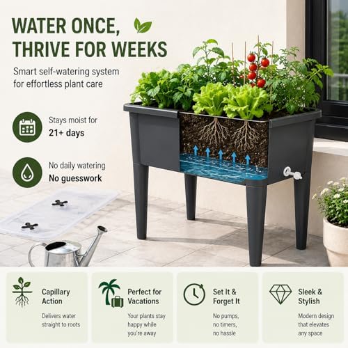 Self-Watering Raised Garden Bed Planter with Greenhouse Cover and Removable Legs, Elevated Plastic Planter Box for Outdoor Patio, Balcony, Indoor Herb Gardening (Dark Gery) - Image 4