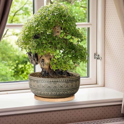EPGardening 8 Inch Ceramic Succulent Planter Pots with Bamboo Saucer, Gray - Image 2