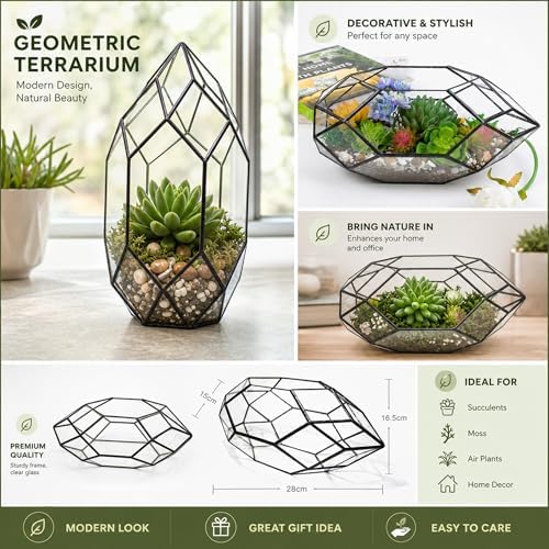 Ferrisland Handmade Glass Home Geometric Glass Succulent Flowerpot - Image 2