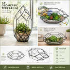 Ferrisland Handmade Glass Home Geometric Glass Succulent Flowerpot - Image 2