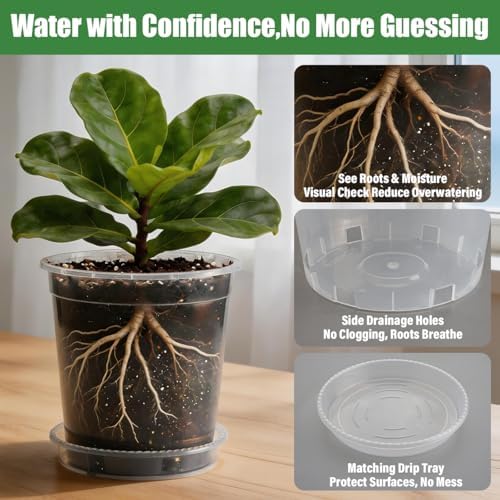 BTPLASTIK 3.5 Gallon Clear Nursery Pots with Saucers 5P, 12 Inch Round Plastic Plant Pots with Drainage Holes - Image 3