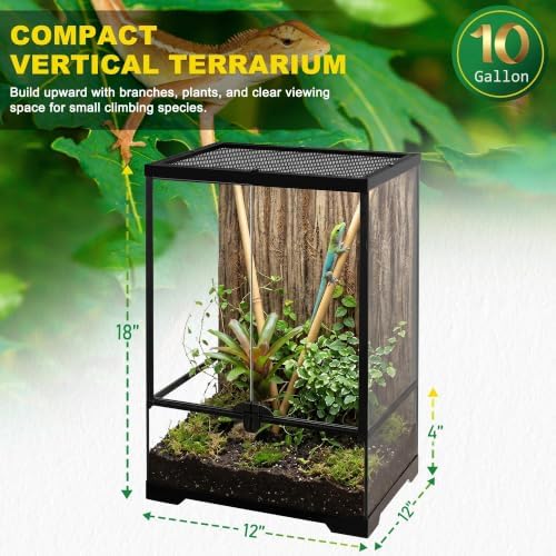 12"x12"x18" Reptile Terrarium, Aluminum-Frame Glass Vivarium for Small Day Geckos Such as Neon Day Geckos, with Lock, Cable Port, Waterproof Deep Base - Image 2