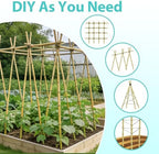 Bamboo Stakes 4.8FT, Approx 5ft Plant Stakes, Garden Stakes 25pcs Specifically Designed for Climbing Plants, Ideal for Tomatoes, Beans, Cucumbers, Peppers, Vines, and More Plant Growth - Image 5