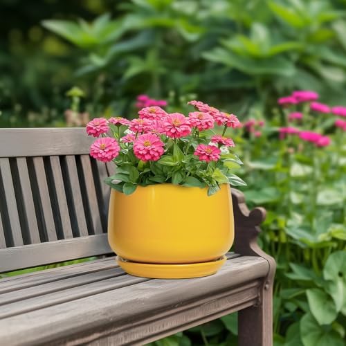 G EPGardening Ceramic Pots for Plants, 7 Inch Plant Pot, Yellow - Image 4