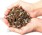 GARDENERA Palm Tree Potting Mix - The Ultimate Soil for Strong and Healthy Palms - Top Choice for Palm Tree Growers [4 Quart Bag] - Image 2