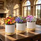 Set of 3 Cement Planter Pots with Drainage Hole,4 inch Plant Pots for Plants Indoor Houseplants,Succulent Pots Windowsil Planter (White&Gold) - Image 6