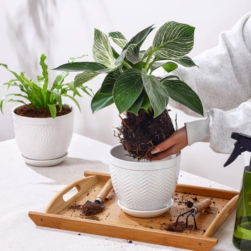 6.5" Ceramic Plant Pots Set of 2, Crisp White Embossed Planters with Saucer - Image 4