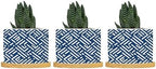 Lacefield Print Geometric Blue Planter Ceramic Chinoiserie Grandmillenial Trail Round Flower Pots with Drainage Holes and Bamboo Tray Pot for Succulents Cactus Garden by BRUYU5SE