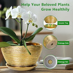 Ceramicfor Ceramic Plant Pot Indoor - 9 Inch Planters for Outdoor Plants Decorative Plant Pot with Drainage Hole and Saucer Round Planter Modern Flower Pot Decorative for House Decor Gold - Image 6