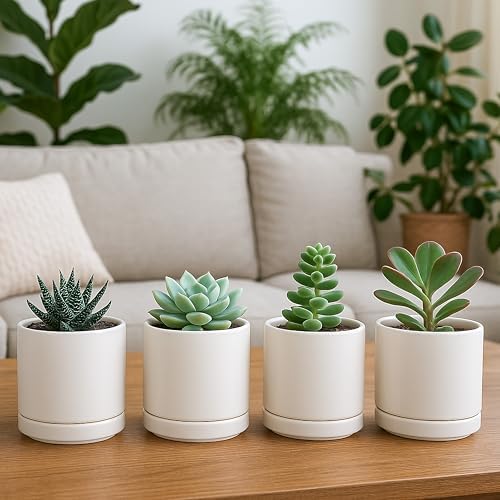 D'vine Dev Set of 4 Small Ceramic Plant Pots, 3.5 Inch Succulent Planter Pot for Plants with Drainage Hole and Saucer, Oatmeal, 94-X-A-8 - Image 3