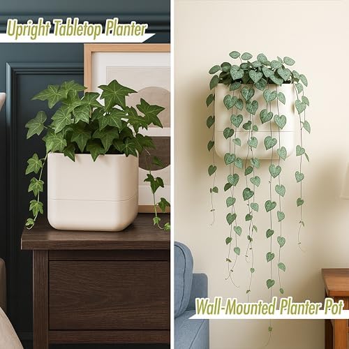 Phoenix Vine 6.5 Inch Wall Mounted Self-Watering Planter Pot for Indoor Houseplants and Herbs | Hanging Planter for Window Sills, Bathroom Walls, Home & Office Décor, Oatmeal, Set of 2, 01-C-G-2 - Image 2