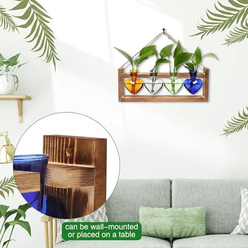 Plant Propagation Stations Heart Plant Terrarium Kit - Image 3
