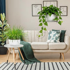 10 Inch White Hanging Planters for Outdoor Indoor Plants - Set of 2 - Image 4