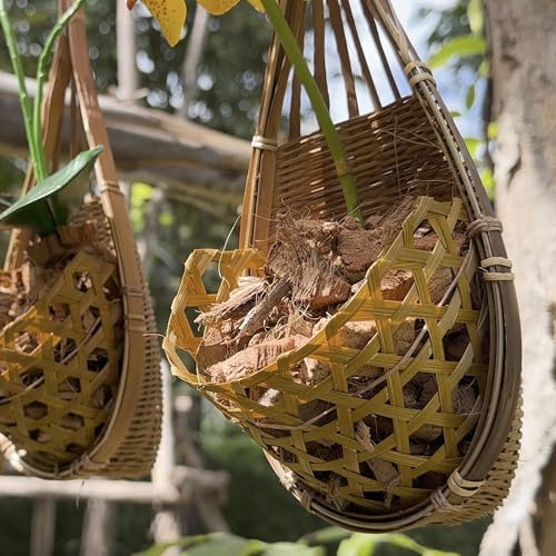 Handmade 100% Thai Bamboo Hanging Orchid Basket – 4 Inch Set of 3 - Image 6