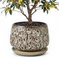 10.3 Inch Ceramic Planter with Saucer,Modern Garden Pots with Drainage Hole Mesh Net, for Indoor Outdoor Use (Speckle White) by Unknown