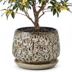10.3 Inch Ceramic Planter with Saucer,Modern Garden Pots with Drainage Hole Mesh Net, for Indoor Outdoor Use (Speckle White) by Unknown