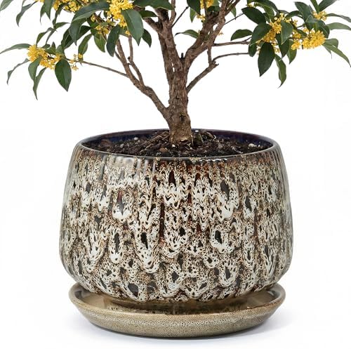 10.3 Inch Ceramic Planter with Saucer,Modern Garden Pots with Drainage Hole Mesh Net, for Indoor Outdoor Use (Speckle White) by Unknown