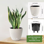 Dexceder 9x8 Self Watering Planter (Ivory White Rattan) - Image 3