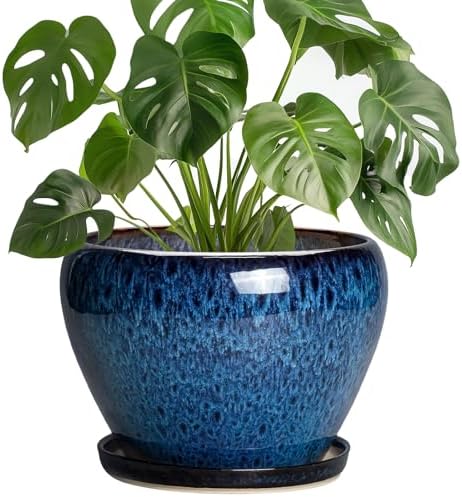 8 Inch Plant Pot - Ceramic Planter for Indoor Plants Outdoor, Round Planter with Drainage Hole and Saucer, Modern Decorative Flower Pots, Home Office Room Decor, Plant Lovers Gifts, Blue by Thirtypot