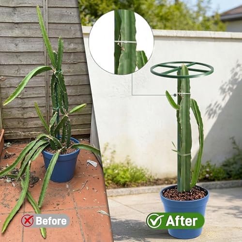 61" Adjustable Dragon Fruit Trellis, Round Ring, Green - Image 5