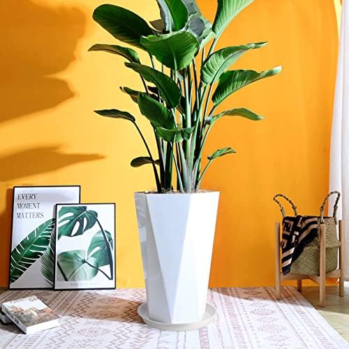 20 Inches White Plant Saucers 3 Packs Heavy-Duty Plastic Plant Trays for X-Large Bonsai Pot Fits Pot Bases up to 18 Inches, Large Water Catcher Trays for Indoor & Outdoor Use. - Image 4