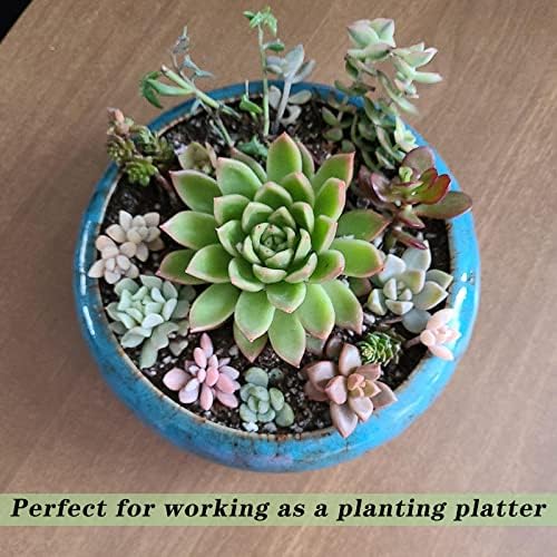 ARTKETTY Succulent Pots - Large Ceramic Planters with Drainage - Image 5