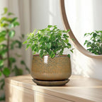 G EPGardening 7 Inch Ceramic Pots for Plants - Ceramic Planters for Indoor Outdoor Plants, Round Plant Pots with Drainage and Saucer, Modern Planter, House Decor, Plant Lover Gifts, Speckled Brown - Image 6