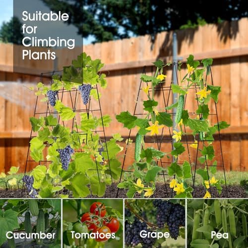 RIFNY Cucumber Trellis for Raised Bed, Garden Trellis 16.5 x 40 Inch, Black - Image 7