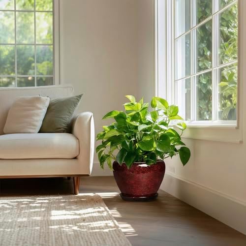 Ceramic Plant Pots - 10 Inch Planters for Plants Indoor Outdoor, Round Plant Pots with Drainage Hole and Saucer, Decorative Indoor Planter, Office Decor, Gifts for Plant Lovers, Red Leopard - Image 7
