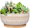 G EPGardening 8 Inch Ceramic Succulent Planter Pots for Indoor Plants Round Shallow Bonsai Planter Pot with Drainage and Bamboo Saucer White by GEPGardening