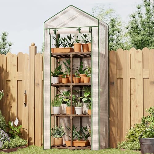 Bamworld 4 Tier Mini Greenhouse Portable Green House with PE Cover for Indoor Outdoor by Bamworld