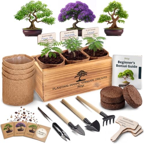 Bonsai Tree Kit Classic - Growing 3 Unique Japanese Bonzai Trees by Plantingseedsgrowingdreams