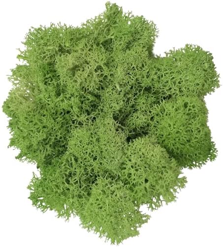 100g Artificial Moss for Crafts, Faux Decorative Plant for DIY Walls Wedding Party Table Centerpieces Home, Light Yellow Green by LKXHarleya