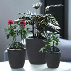 HOSTIC 7 Packs Lazy Flower Pots Shelf Water Planter Pot of Walls Self Watering Flowerpot with Hooks Suitable for Indoor and Outdoor Black - Image 6