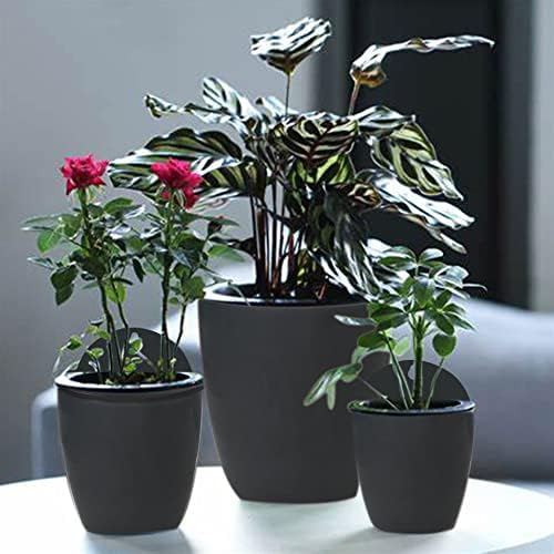 HOSTIC 7 Packs Lazy Flower Pots Shelf Water Planter Pot of Walls Self Watering Flowerpot with Hooks Suitable for Indoor and Outdoor Black - Image 6