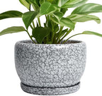 SQOWL 8 inch Plant Pot - Ceramic Planter with Drainage Hole and Saucer, Round Flower Pot for Indoor Plants, Decorative Planter Outdoor, Patio Balcony Decor, House Warming Gifts, Black and White by SQOWL