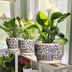 SQOWL Ceramic Flower Pots - 6 Inch Plant Pot Indoor with Drainage Hole and Saucer, Porcelain Ceramic Planter Outdoor, Decorative Round Small Planter, House Decor, Plant Lover Gifts, Blue and Beige - Image 5