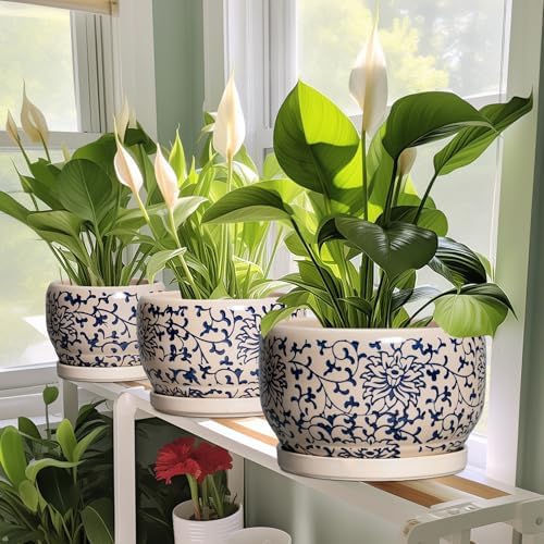 SQOWL Ceramic Planters for Indoor Plants - 8 inch Plant Pot with Drainage Hole and Saucer, Decorative Flower Pot Outdoor, Porcelain Round Planter, Living Room Decor, Gardening Gifts, Blue and Beige - Image 6