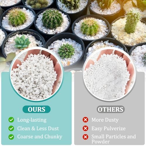 Legigo 20 Quarts Organic Perlite for Plants Indoor, Soil Mix Amendment - Image 3