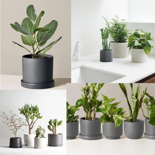 Yukfona Ceramic Plant Saucer Tray 1 Pcs 10 Inch Grey, 10.83" OD x10.24 ID x1.1 Deep| Fits Flower pots Bottom≤ 10.24", Heavy Duty Glazed Round Planter Drip with Catch Basin for Indoor Outdoor Plants - Image 6