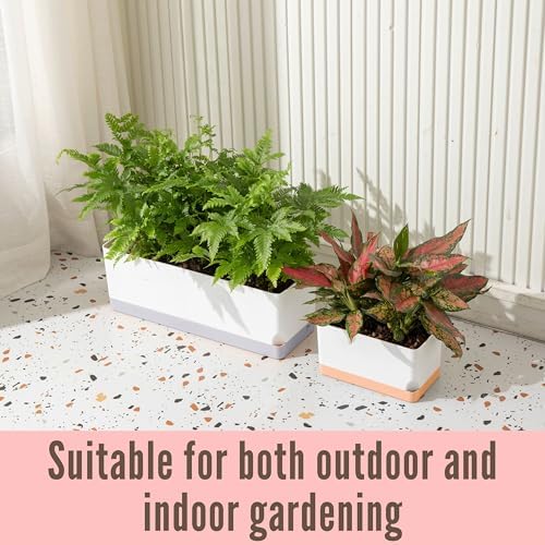 LaLaGreen Indoor Planter Boxes for Plant (7 Pack) Window Flower Box Planter - Image 4
