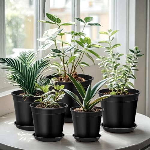 FUIJOL 2 Gallon Plastic Pots with Drip Trays, Sturdy Gallon Plant Pots with Drainage Holes, Large Plastic Planter for Flowers, Ideal for Indoor and Outdoor Use (2Gallon-10PACK) - Image 5