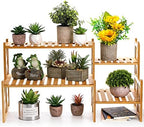 Lawei 2 Tier Bamboo Tabletop Plant Stand, Adjustable Flower Pot Holder Shelf Planter Display Stand, Small Desktop Ladder Plant Rack for Indoor Outdoor Home Patio Lawn Garden Balcony Organizer - Image 3