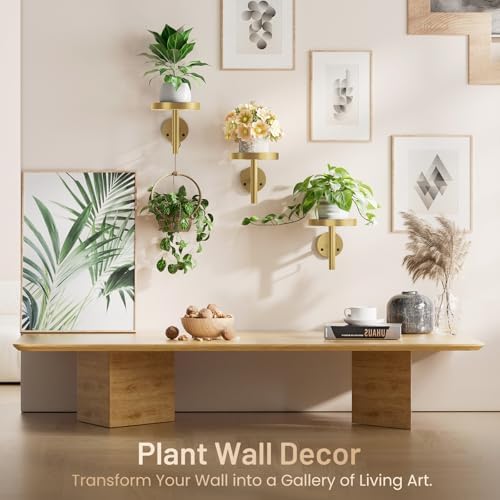 YUOROS 3 Pack Wall Plant Holder Stand Wall Planters for Indoor Plant (Gold) - Image 3