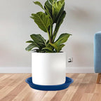 Plant Saucer Pot Tray 14 inch, 4 Packs Plastic Flower Planter Saucers and Drip Trays for Indoors Outdoors, Heavy Durable Plant Plate Water Catcher (Blue) - Image 6